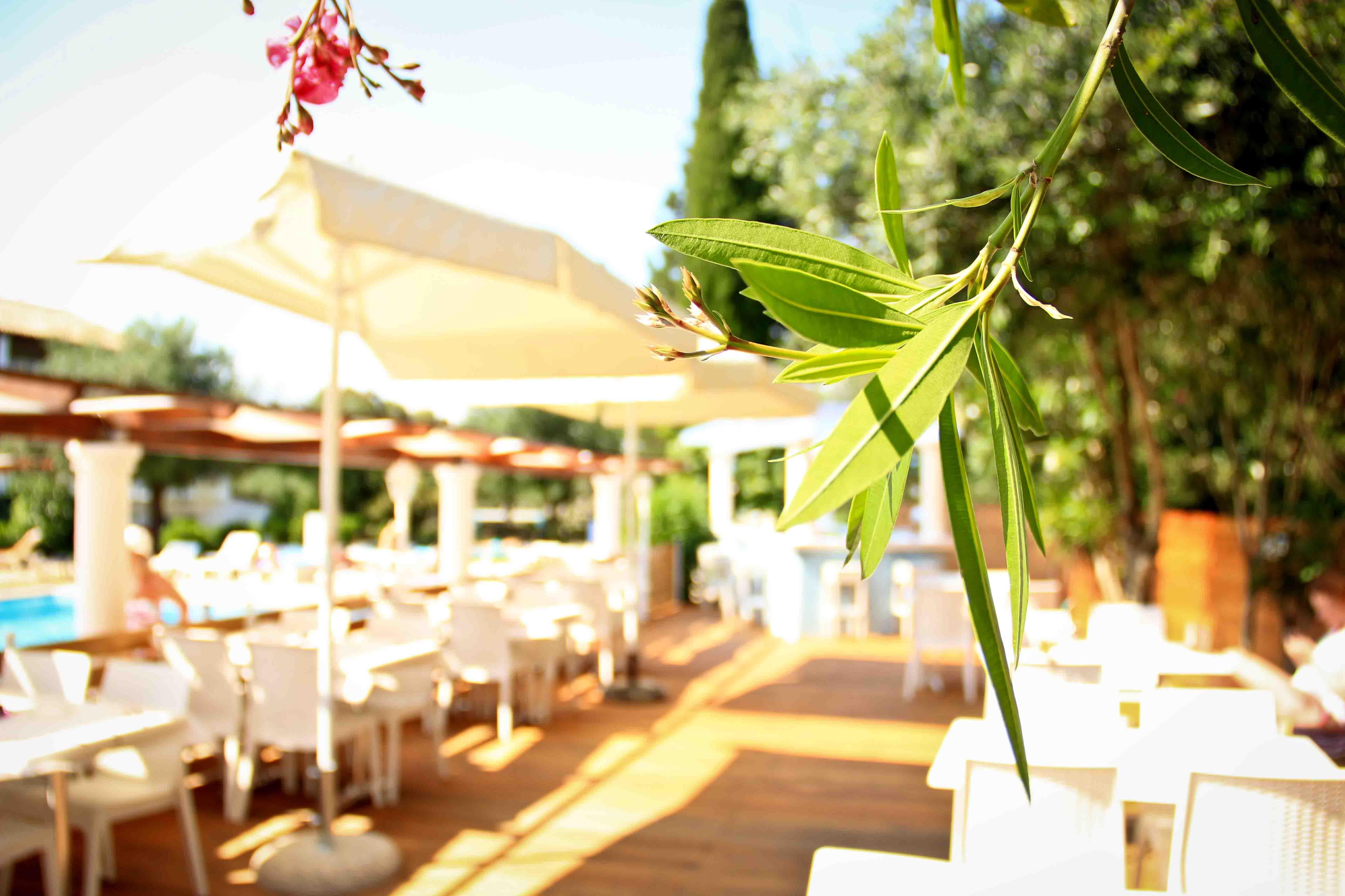 Hotel Katia